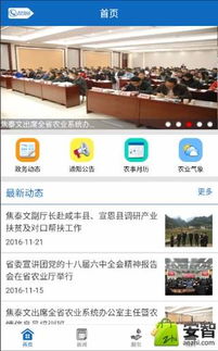 應(yīng)用搜索 互聯(lián)網(wǎng)信息服務(wù)的起點與演進