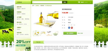 網頁設計開發(fā)中的關鍵要素 動畫設計與后臺系統(tǒng)集成